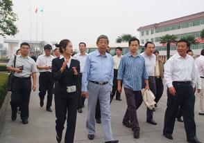 2009年10月8日，全國人大常委會原副委員長許嘉璐視察今世緣。