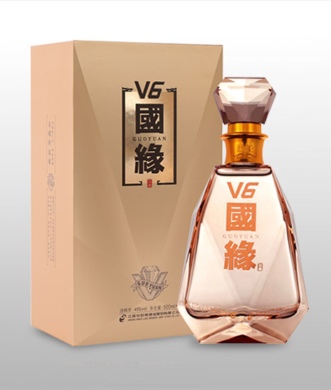 國緣V6