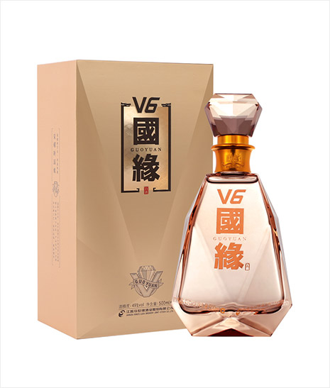 國(guó)緣V6